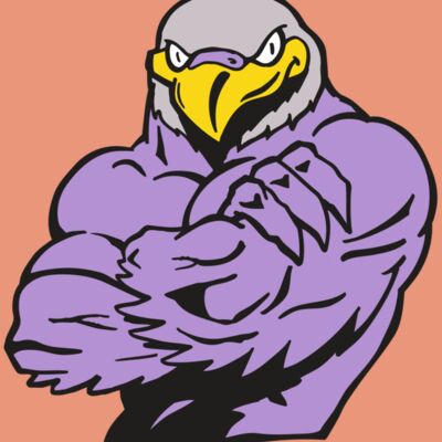 AR FALCON 32 RC Thumbnail