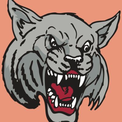 AR WILDCAT 42 RC Thumbnail