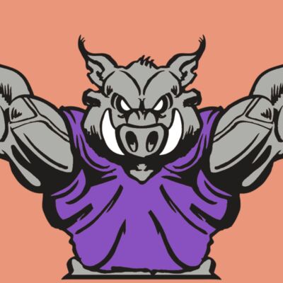 AR RAZORBACK 10 RC Thumbnail