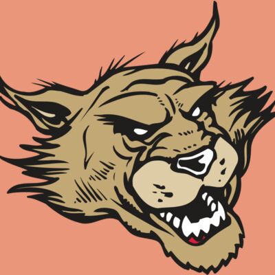 AR WILDCAT 39 RC Thumbnail