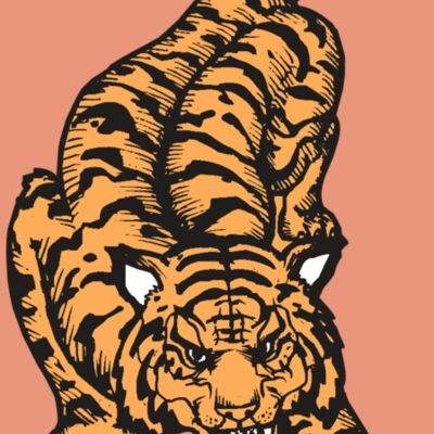 BAW TIGER 01 RC Thumbnail