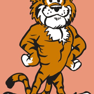 AR TIGER 91 RC Thumbnail