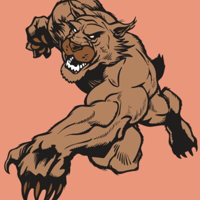 AR WILDCAT 47 RC Thumbnail