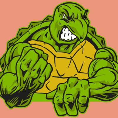 AR31 TURTLE 01 RQC Thumbnail