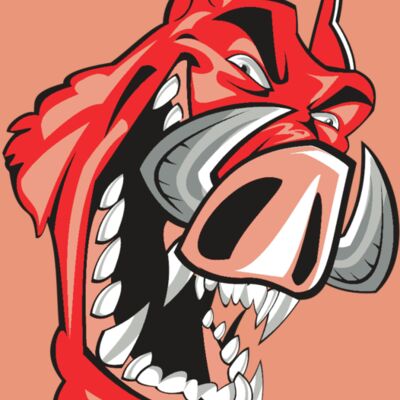 RAZOR HD0502 RQC Thumbnail