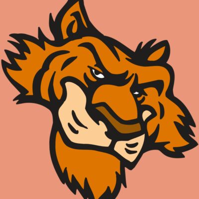 AR5 Tiger 16 RQC Thumbnail