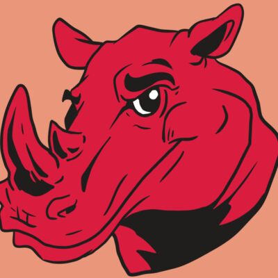 AR9 RHINO 05 RQC Thumbnail