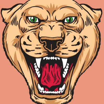 AR13 PNTHR 01 RQC Thumbnail