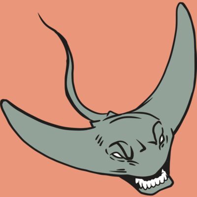 AR19 STINGRAY 05 RQC Thumbnail