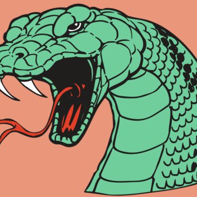 AR SNAKE 10 RC Thumbnail