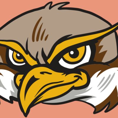 AR12 OWL 02 RQC Thumbnail