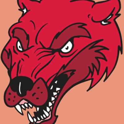 AR5 Wolverine 12 RQC Thumbnail