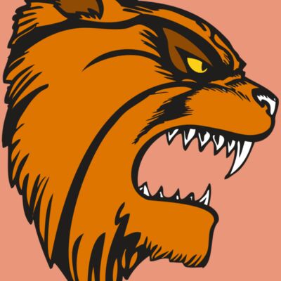 BAW WILDCAT 08 RC Thumbnail