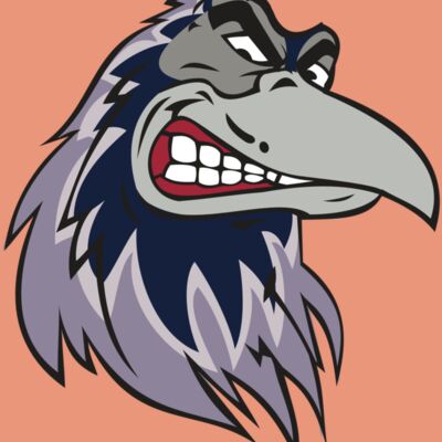 RAVEN HD0504 RQC Thumbnail