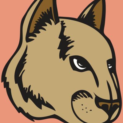 BAW COUG PANTH 13 R Thumbnail