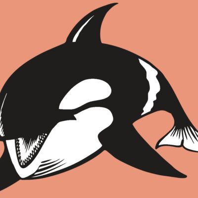 BAW KLRWHALE 04 RC Thumbnail