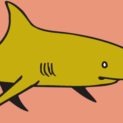 AR  SHARK 30 RC Thumbnail