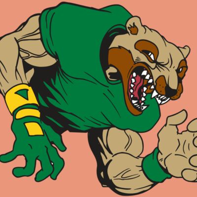 AR5 Wolverine 17 RQC Thumbnail