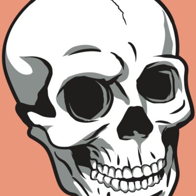 AR24 SKULL 14 RQC Thumbnail