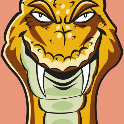 SNAKE HD0503 RQC Thumbnail