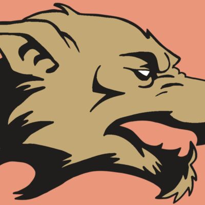 AR5 Wolf 12 RQC Thumbnail