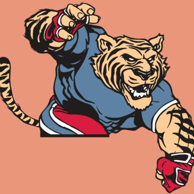 AR TIGER 30 RC Thumbnail