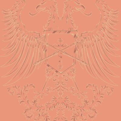 designious t shirt design 332 Thumbnail