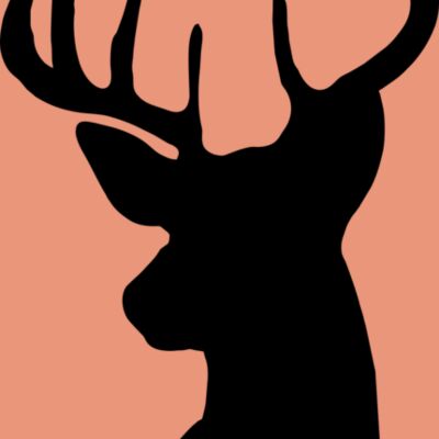 Reindeer 003 Thumbnail