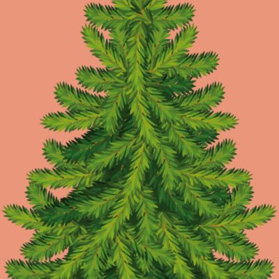 Christmas Trees 006 Thumbnail