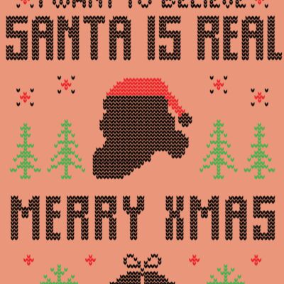 I want believe santa is real Thumbnail